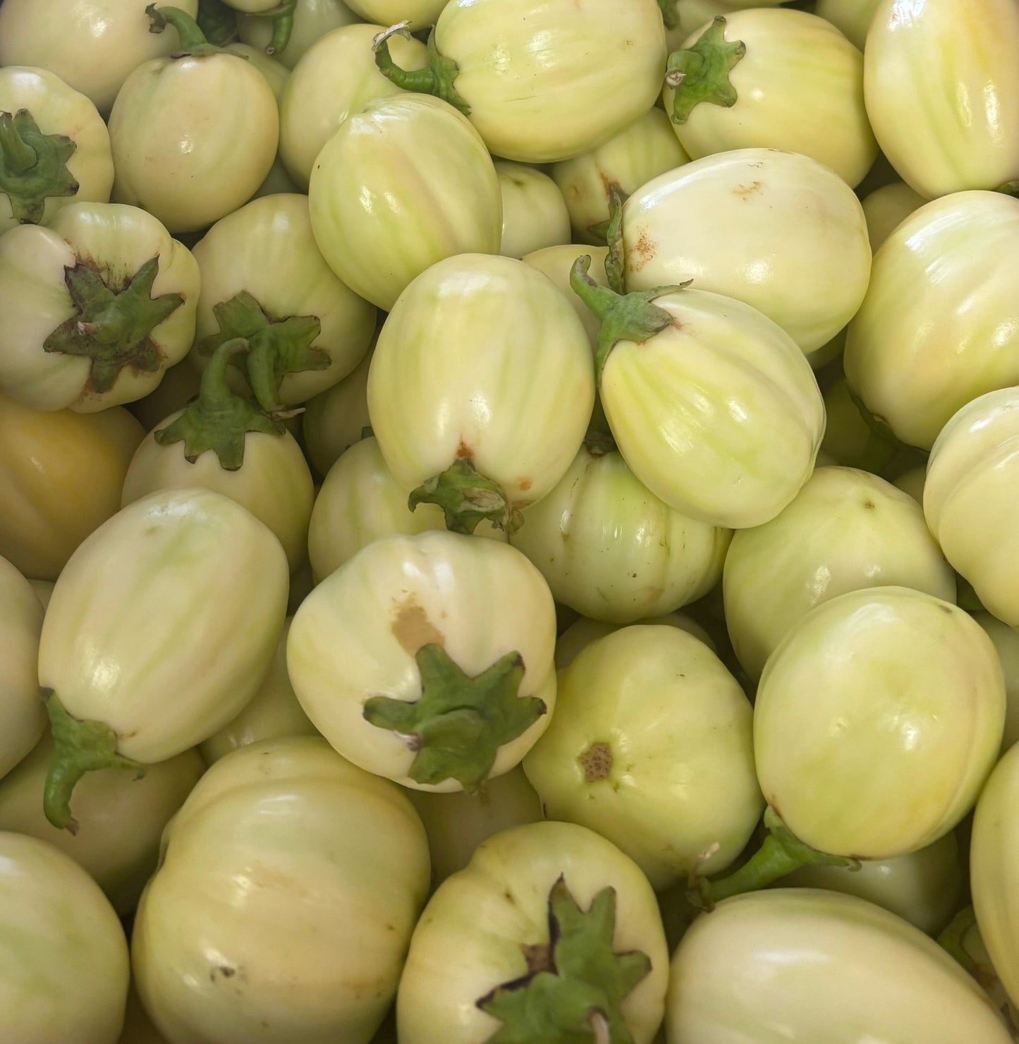 Frozen Eggplants(Nyanyantore) 1kg